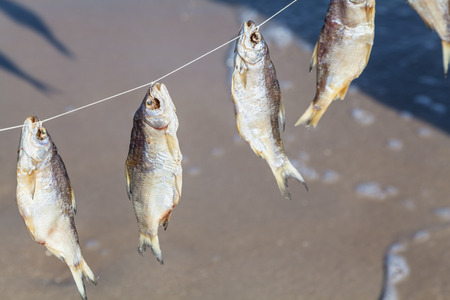 Caught fish hanging and drying on a rope on the beach at summer day