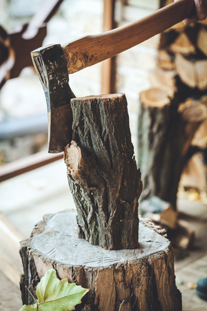 Axe to be lazy acacia sticks standing on a tree stumpの写真素材