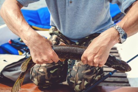 good catch. Fisherman in boat holds two hands caught pikeの写真素材