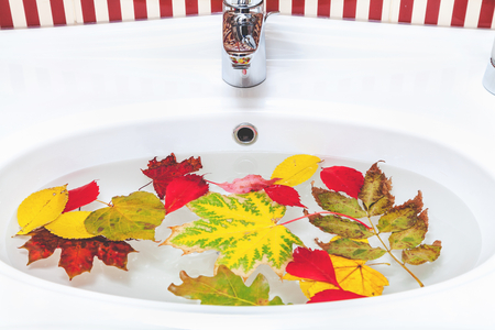 Bright multi-colored leaves floating in the sink fashionable ceramic sink with faucetの写真素材