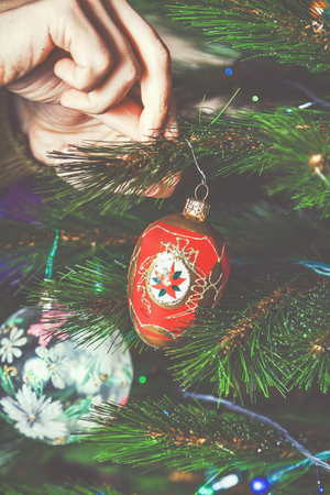 decorate the Christmas tree. men hands hang red toy with a beautiful pattern on a green Christmas tree branchの写真素材