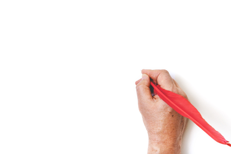 hand painted red feather rooster on a white sheet of paperの写真素材