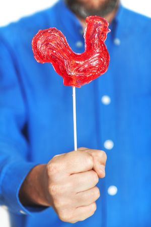 symbol 2017. Sweet lollipop red rooster is holding in front of a man in a blue shirt
の写真素材