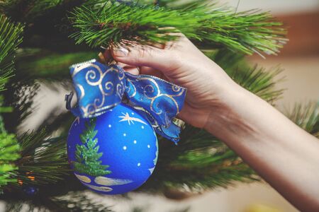 Decorate the Christmas tree. Woman's hand hangs a beautiful toy blue ball with a bow on green coniferous branch close-up
の写真素材