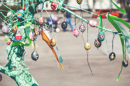 Several Easter colored eggs hanging on a tree branch color sunny spring dayの写真素材