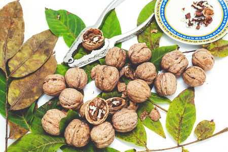 Group of ripe walnuts lying on green leaves on a white background. Nearby lie the steel tongs for chopping nuts and saucer with purified nuclei
の写真素材