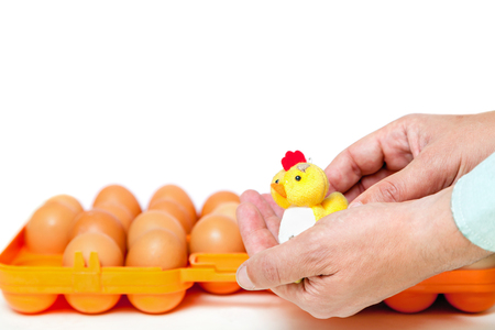 Hands of a man holding a yellow toy chicken symbol of 2017 against the backdrop of an open container of chicken eggsの写真素材