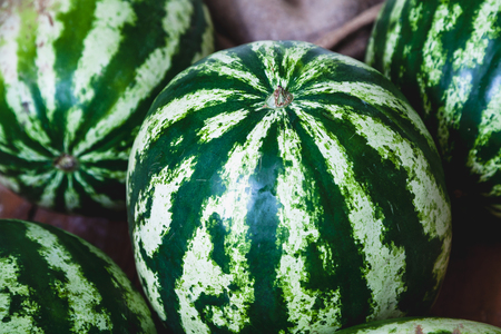 Fruits of autumn. Several large striped green white watermelons
lie next close up
の写真素材