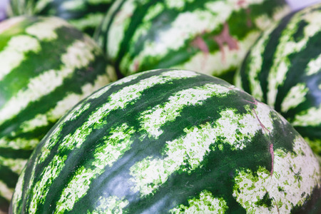 Fruits of autumn. Several large striped green white watermelonslie next close up
