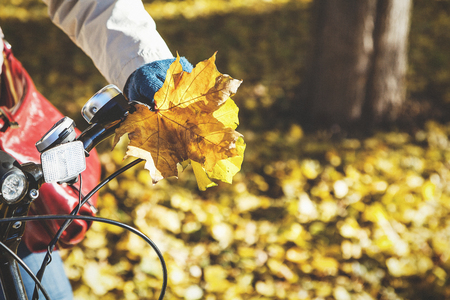 Female hand in knitted mittens with a bouquet of yellow maple leaves holding modern bicycle wheelの写真素材