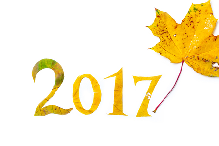 Autumn figures. 2017 carved from yellow maple leaves on a white background. On the right is a yellow...