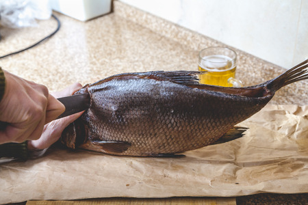 Cutting dried fish. Hands cuts a large dried-down bream with a large knife. Nearby is a mug of beer
