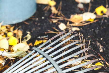 Steel fan rakes treated soil closeup. birch leaf rake punctured clove. View from aboveの写真素材