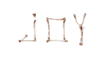 dog joy. word joy is made up of purified chicken bones closeup. Capital lettersの写真素材