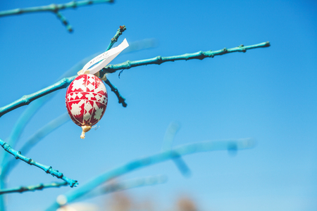 several painted Easter eggs hanging on a tree branch against a blue sky
の写真素材