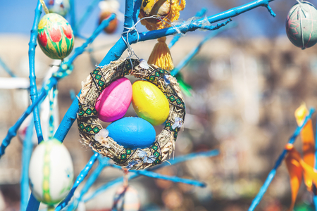 Several Easter colored eggs hanging on a tree branch color sunny spring day
の写真素材