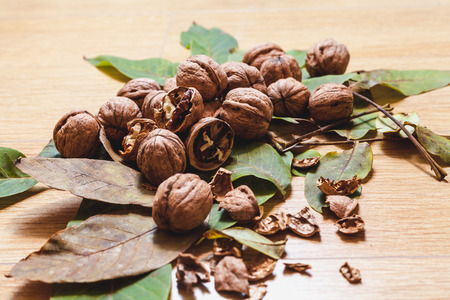 Heap of ripe walnuts and green leaves of the tree lie on a brown background. Several of them split shellsの写真素材