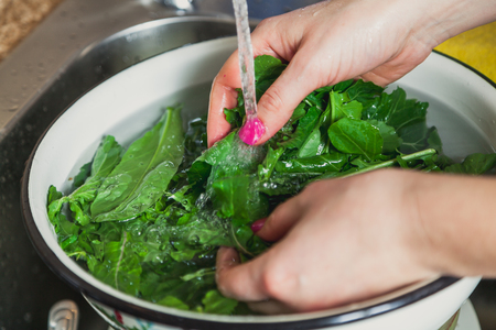 Hands with manicure wash the juicy green leaves of arugula in a round bowl under running water
の写真素材
