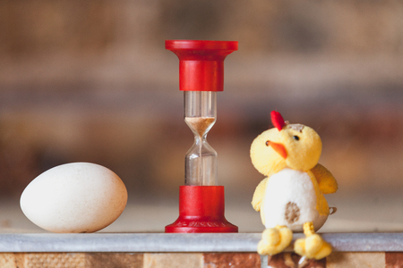 Time of development of the egg. The hourglass is on the shelf. Chicken Egg and Yellow Chicken Toy