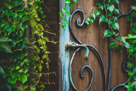 Openwork metal latch on the door of the wicket decorated with forged elements. Around the green leaves of plants
の写真素材