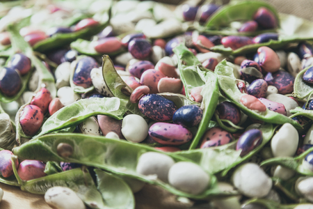 Pods and seeds of beans of different colors lie evenly. View from above