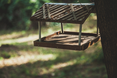 homemade wooden bird feeder weighs on a tree in a park on a summer dayの写真素材