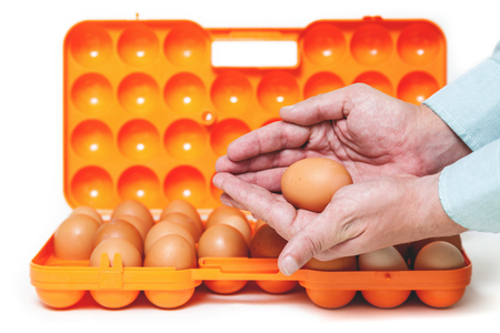large chicken egg lay in the palm of an open container for transporting eggs.
の写真素材