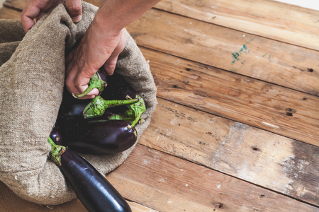 hand takes out a ripe eggplant from a canvas bag which lies on the planed wooden boards
の写真素材