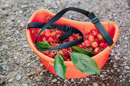 Collection of red cherries. The red semicircular container is completely filled with ripe red...
