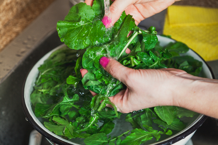 Hands with manicure wash the juicy green leaves of arugula in a round bowl under running waterの写真素材