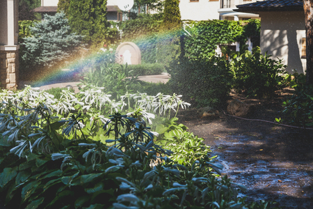 left half of the rainbow arc over the white colors of the host in the well-tended courtyard of the house on a summer dayの写真素材