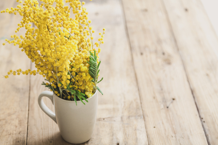 Spring in a cup. The branch of the yellow mimosa stands in a white cup on wooden boardsの写真素材