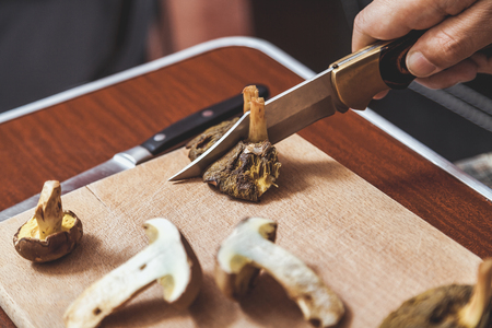 Processing of collected mushrooms. Hands of a man cut fresh edible porcini mushrooms on a wooden boardの写真素材