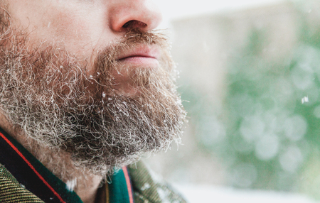 snowflakes lie on the red beard of a man. On his cheek are visible gray hairの写真素材