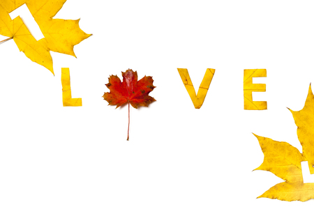 Love. Letters carved on a beautiful yellow maple leaf on a white background close-up. Instead of the letter O, a red maple leafの写真素材