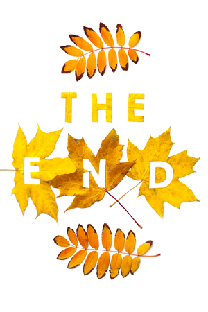 The end. A letter carved on a beautiful yellow maple leaf on a white background close-up. Near two beautiful branches of mountain ashの写真素材