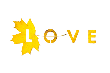 Autumn. Letter carved on a beautiful yellow maple leaf on a white background close-upの写真素材