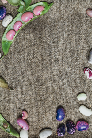 Pods and seeds of beans of different colors lie on burlap. View from aboveの写真素材
