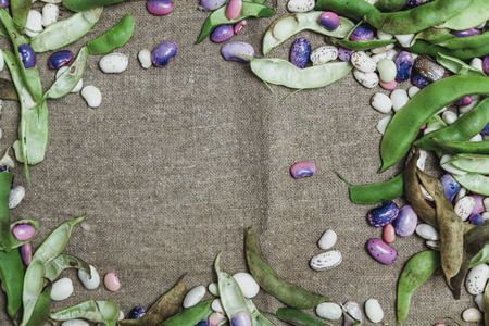 Pods and seeds of beans of different colors lie on burlap. View from above
