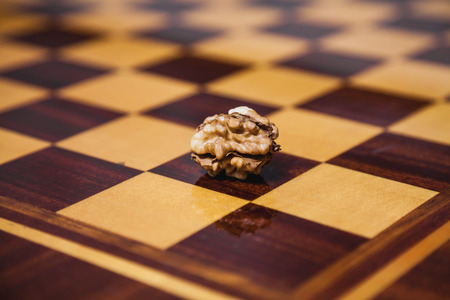 Walnut on a chessboard. Walnut without shell is a chessboard