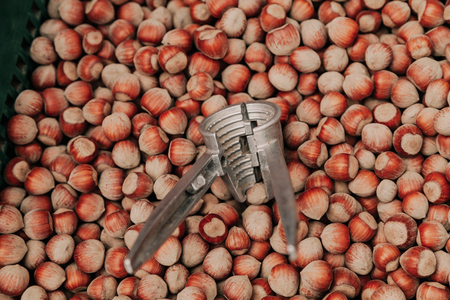 brown nuts of the round hazel forest lie evenly. On top are tongs for chopping nutsの写真素材