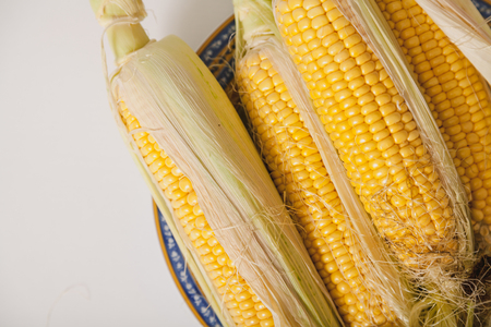 Beautiful cobs of ripe yellow corn with green leaves lie on a round plate on a white backgroundの写真素材