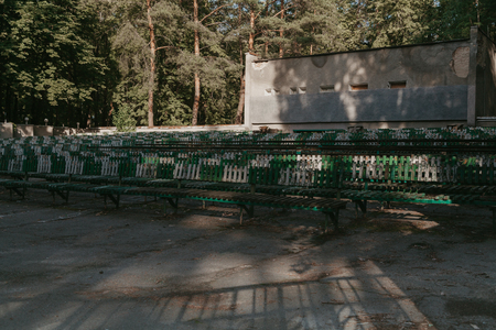 Rows of wooden seats in a summer outdoor theater. Behind are large green pinesの写真素材