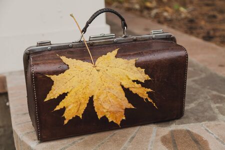 Autumn in vintage style. Vintage leather bag stands on a brick fence. On top lies a large yellow...
