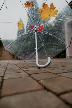 Autumn story. Opened transparent umbrella stands on a square stone tile. On the umbrella lie the leaves of treesの写真素材