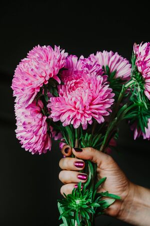 Woman hand with manicure holding a bouquet of pink chrysanthemumsの写真素材