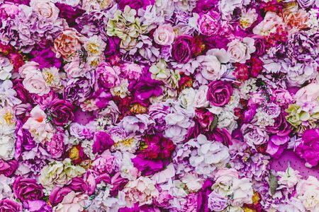 Floral abstract background. Beautiful rose buds of various colors and sizes are densely composed in a continuous layerの写真素材