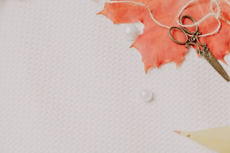 Autumn still life with elegant scissors. Red maple leaf and scissors lie on a white canvas. Nearby...