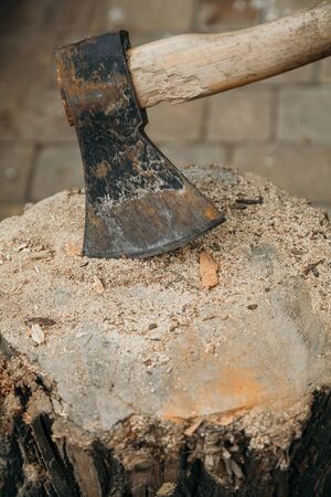 Ax sticks out in a stump covered with sawdust close upの写真素材