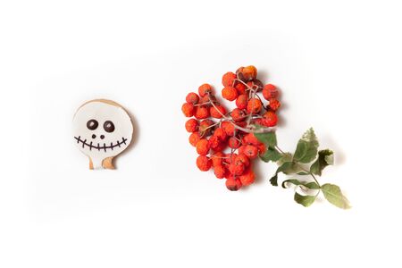 Halloween and rowan. Round cookies in the form of a mask for Halloween and a branch of faded rowan are on a white backgroundの写真素材
